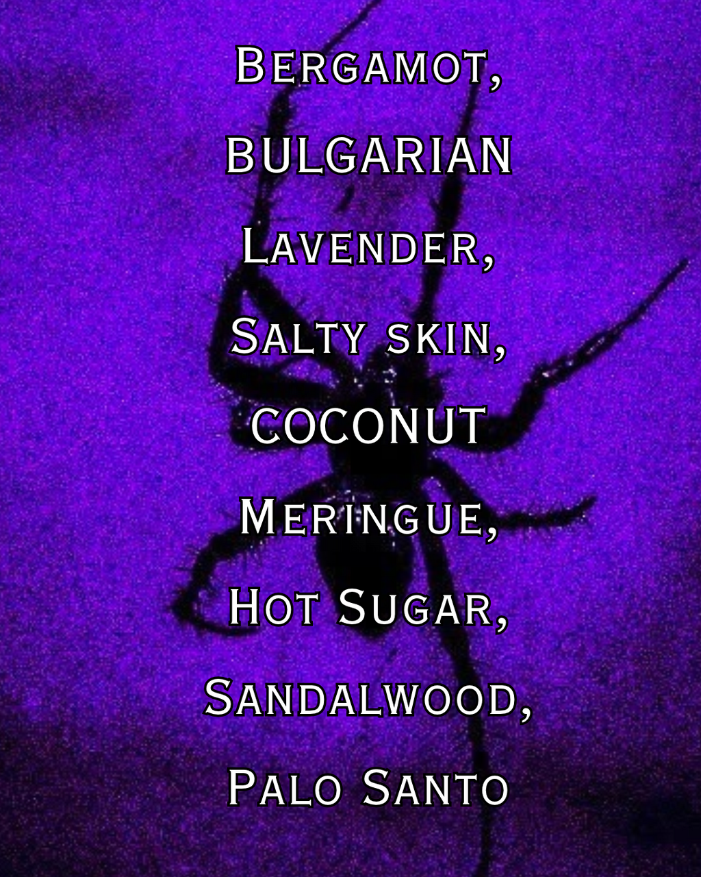 Lavender Spiderwebs Parfum