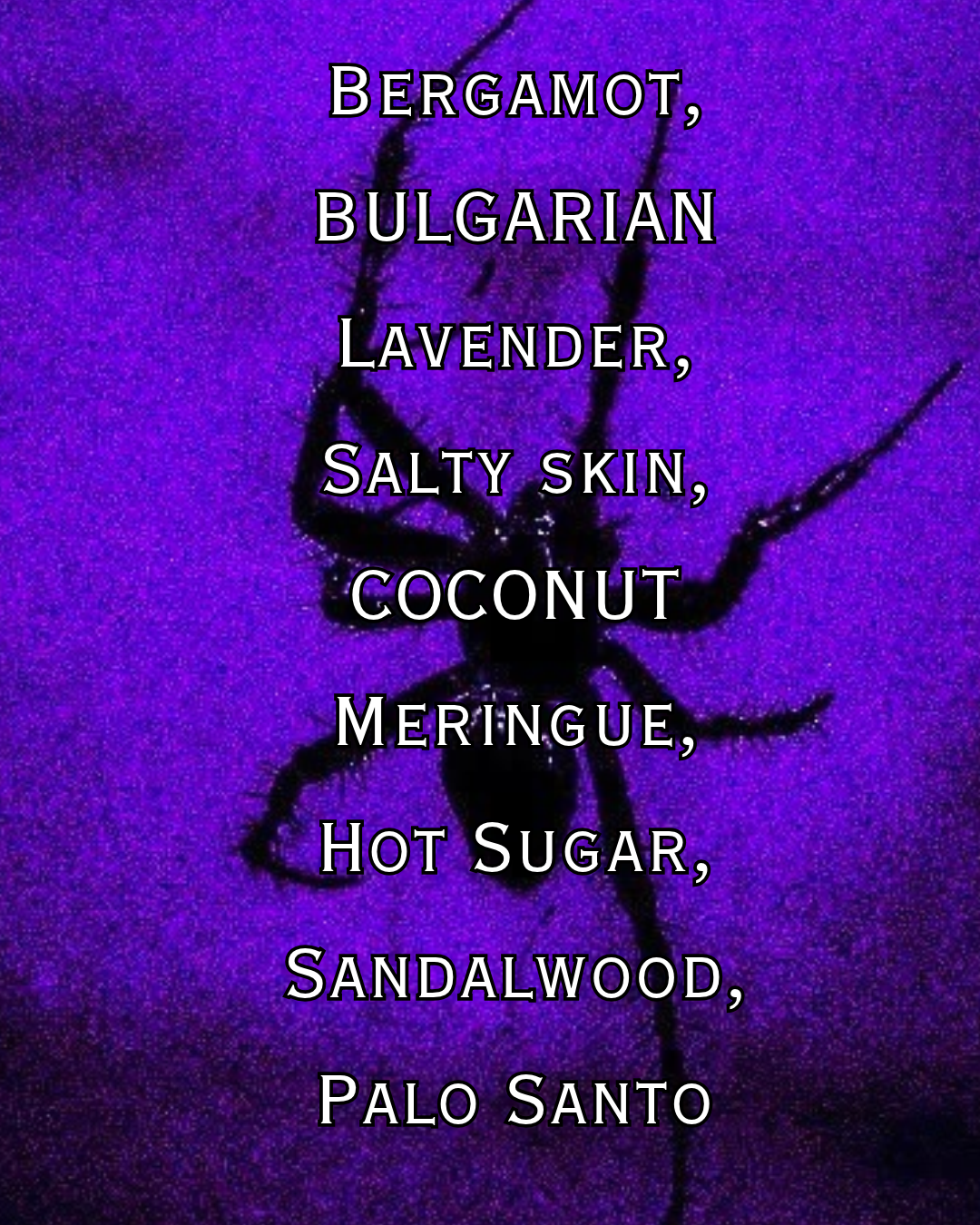 Lavender Spiderwebs Parfum